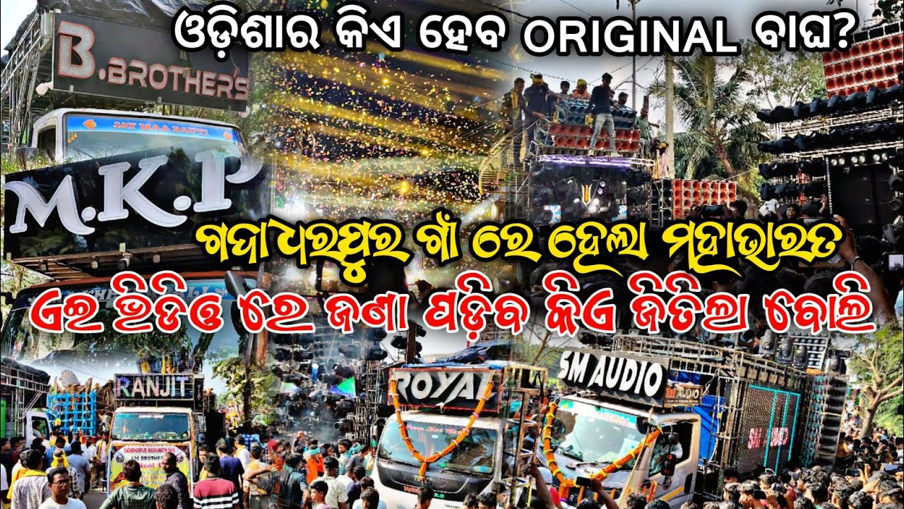 ଏ ଭିଡିଓ ରେ ଜଣା ପଡିବ ORGINAL ବାଘ କିଏ ହେଲା ଗଦାଧରପୁର ଗାଁ ରେ / ଆଉ ଓଡିଶା ର NO 1 ବାଘ କିଏ...?