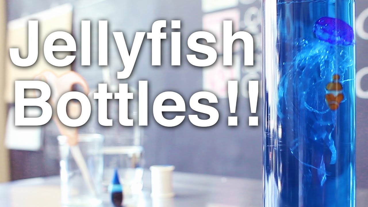 Jellyfish in a Bottle!! + Announcement!!