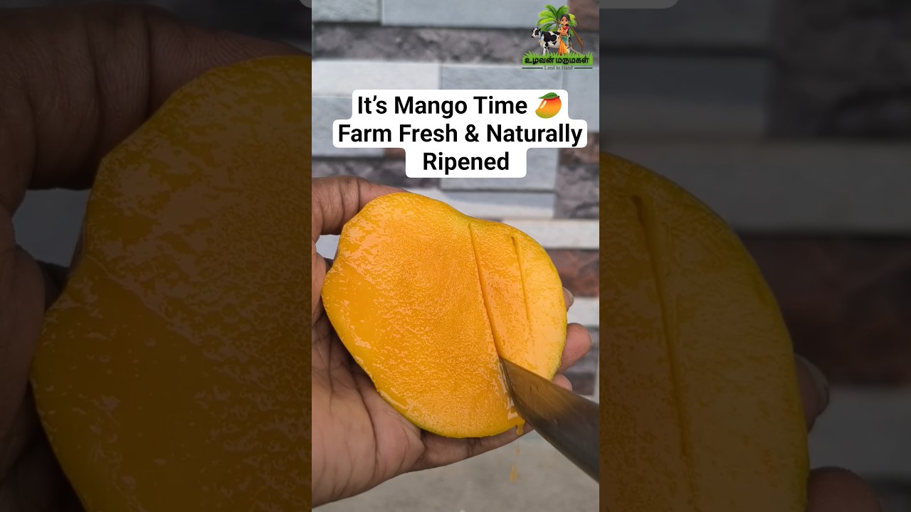 Ripe & Ready 
