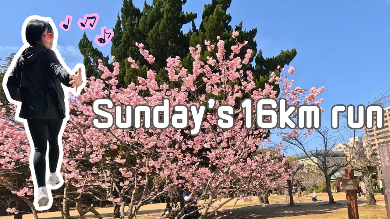 心地よい、春の日曜日ランニング🌸