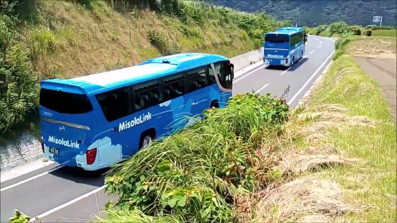 青い観光バス Blue sightseeing bus 指宿市,南九州市にやって来た青い観光バスの特集です❕❕