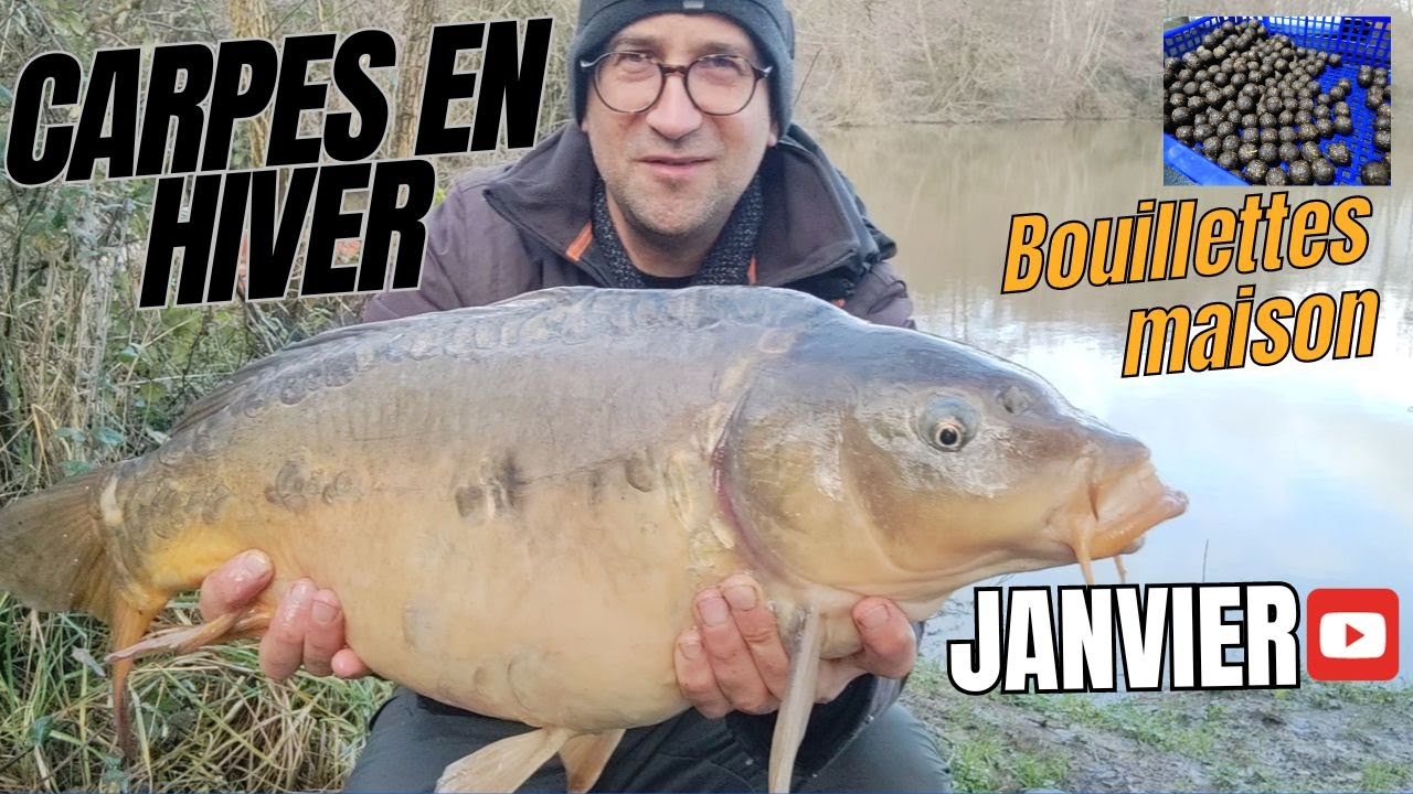 PECHE de la CARPE en RIVIERE en HIVER | BOUILLETTE FABRICATION MAISON