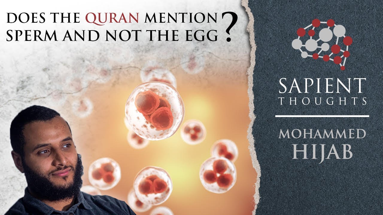 Sapient Thoughts #28: Does the Quran mention sperm and not the egg? | Mohammed Hijab