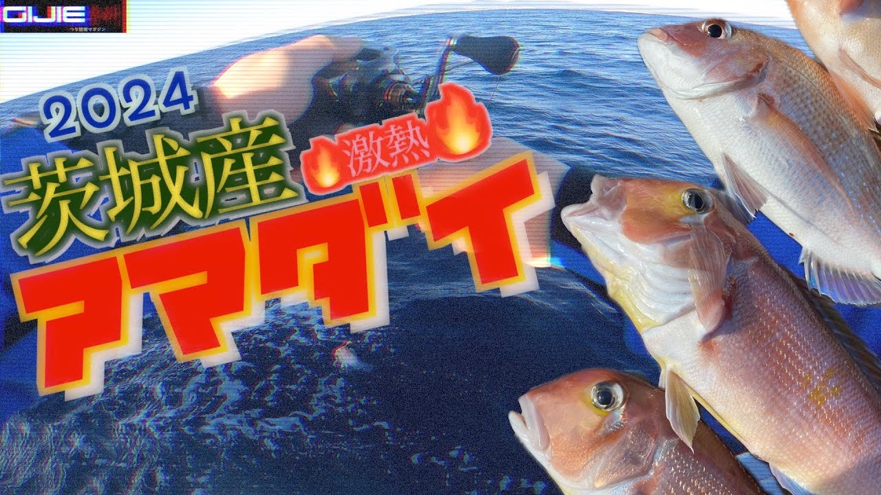 【アイドル魚】アマダイをタイラバで釣る！絶好調の茨城県日立市で狙ってみた！