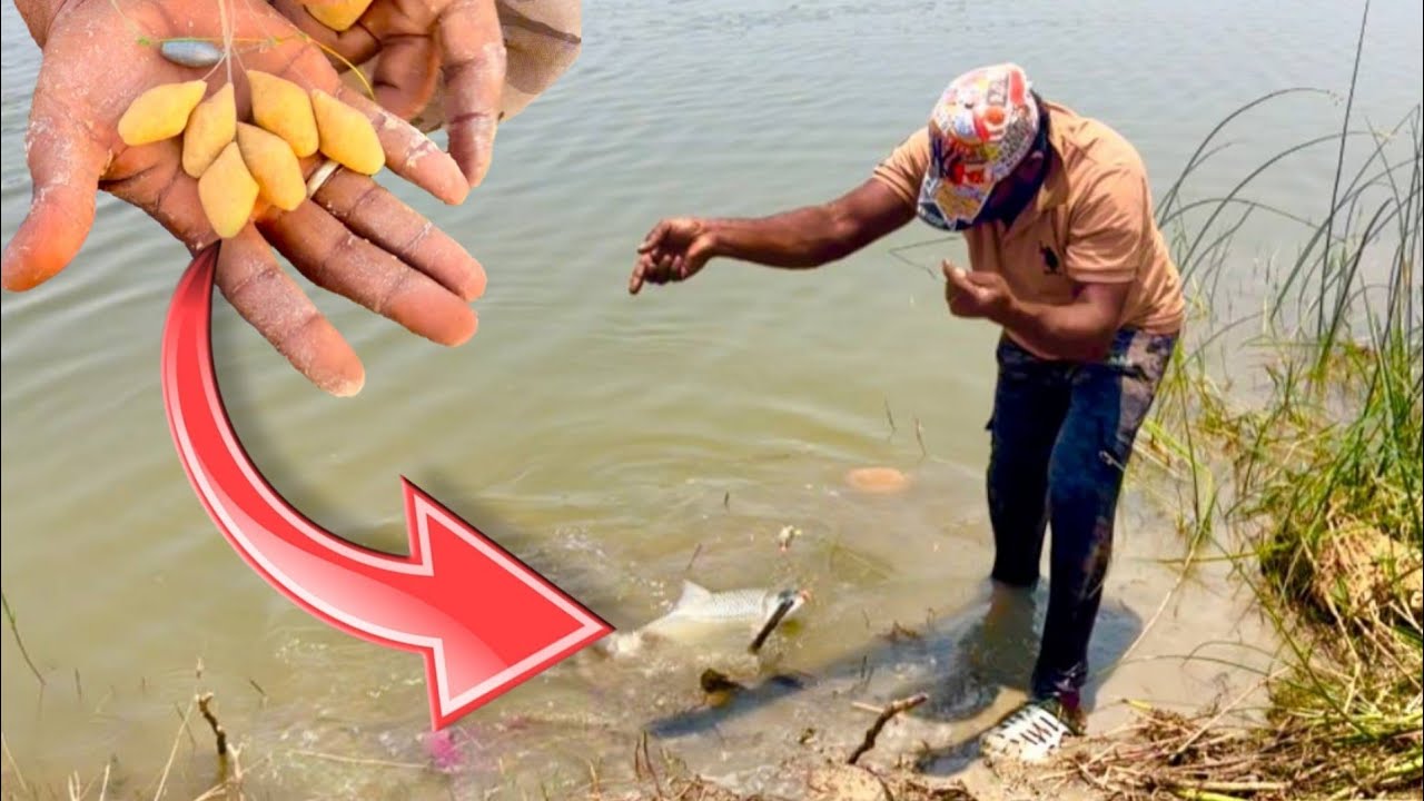 Fishing | Gucha Gal Fishing In River | Fish Trapping Video | Fishing Videos