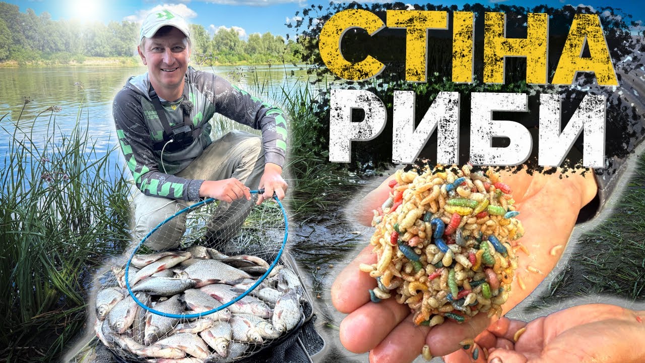 ⚠️ СТІНА РИБИ❗️Клює в ЗАКИД  🤯 Фідер на ДЕСНІ❗️Мішок риби за 3 години!