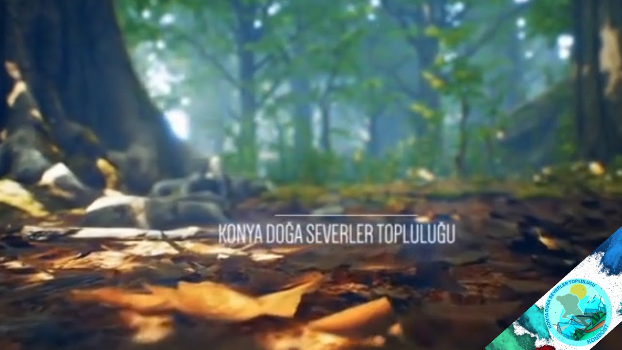 Konya Doğa Severler Topluluğu