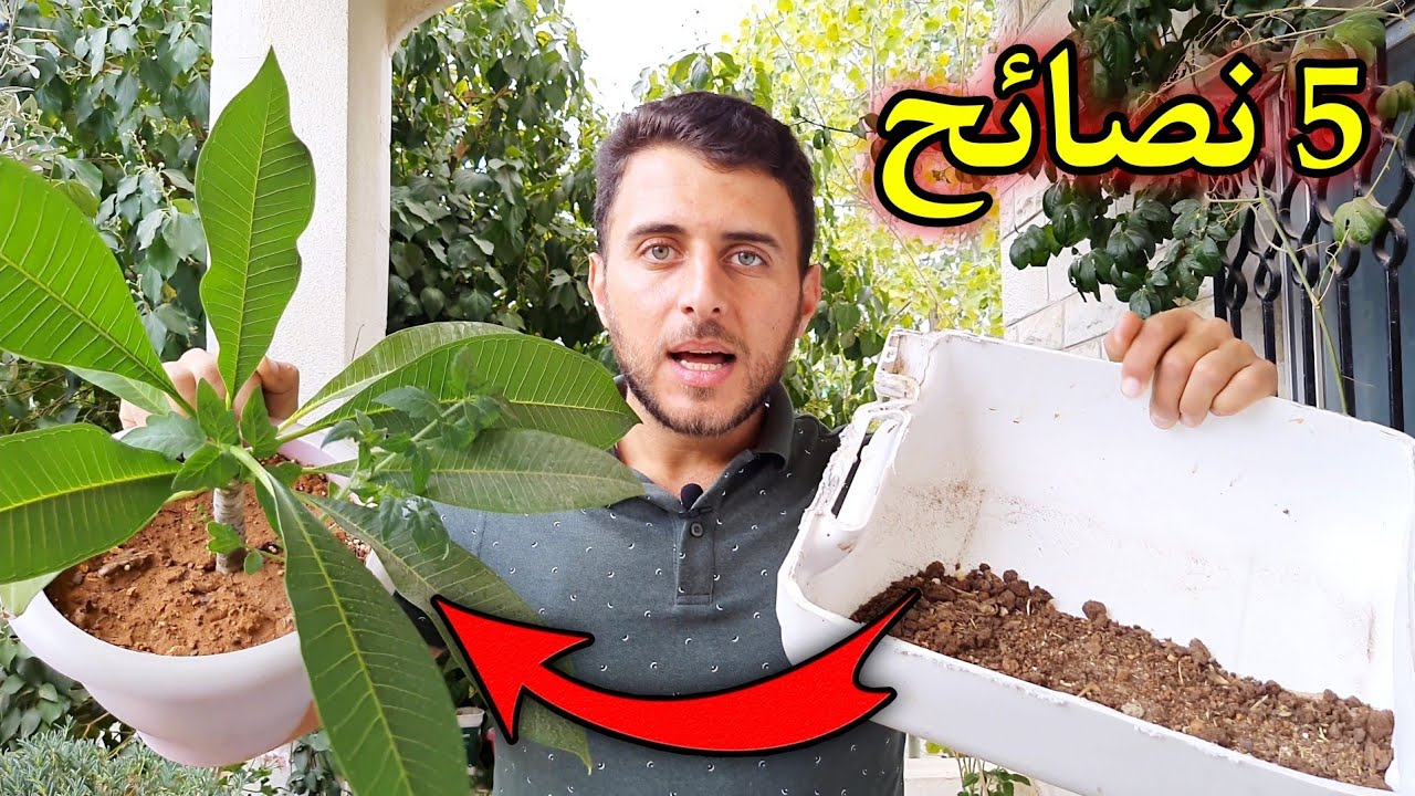 بعد هذا الفيديو أعدك بأنك لن تخسر أي نبات إطلاقاً !