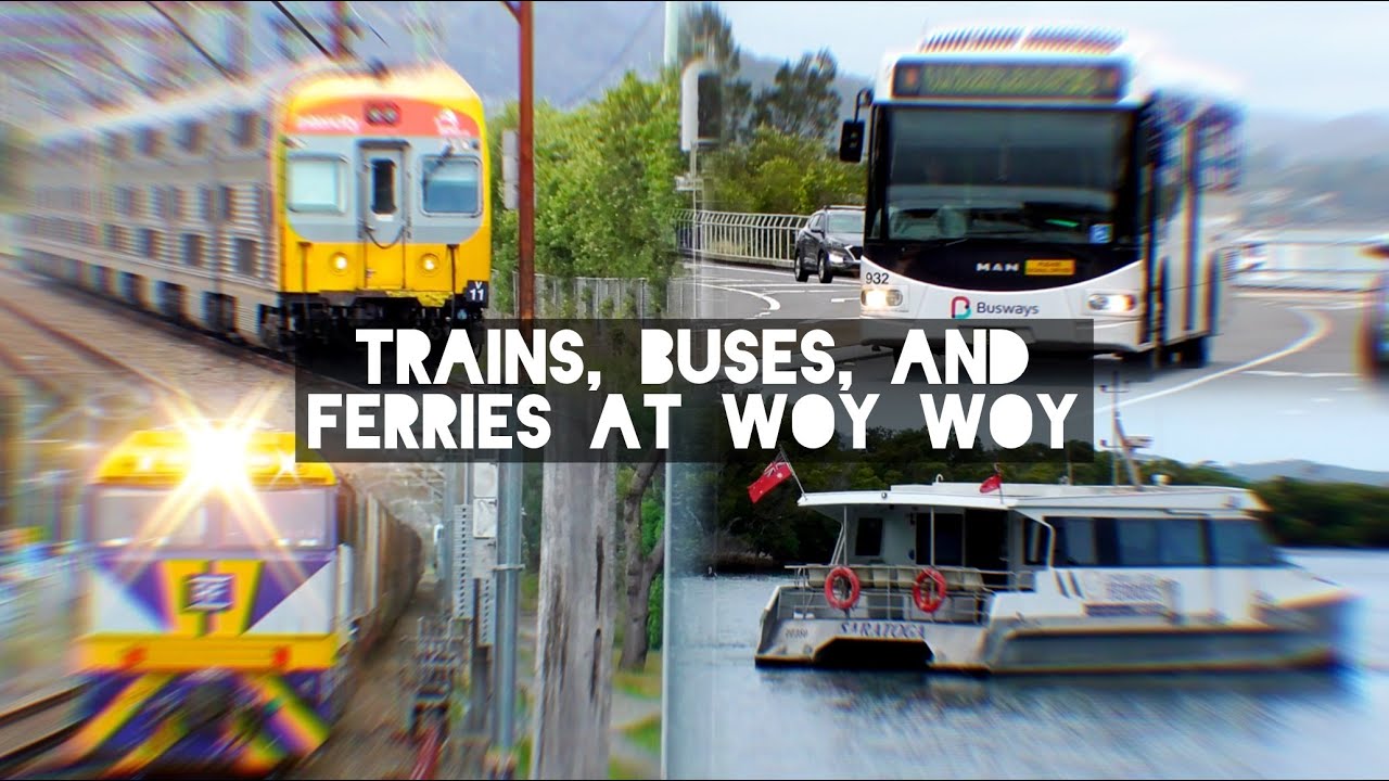 Trains, Buses, & Ferries at Woy Woy - November 2024