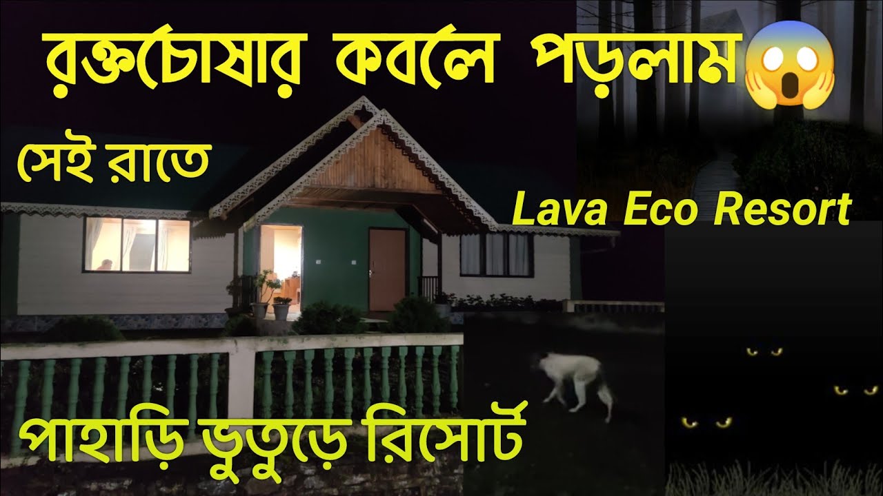 Lava Eco Resort WBFDC | পাহাড়ি রিসোর্টে এক রক্তচোষার কবলে পড়লাম 😱 | রাতের সেই ভয়ঙ্কর মুহূর্ত 😩😨