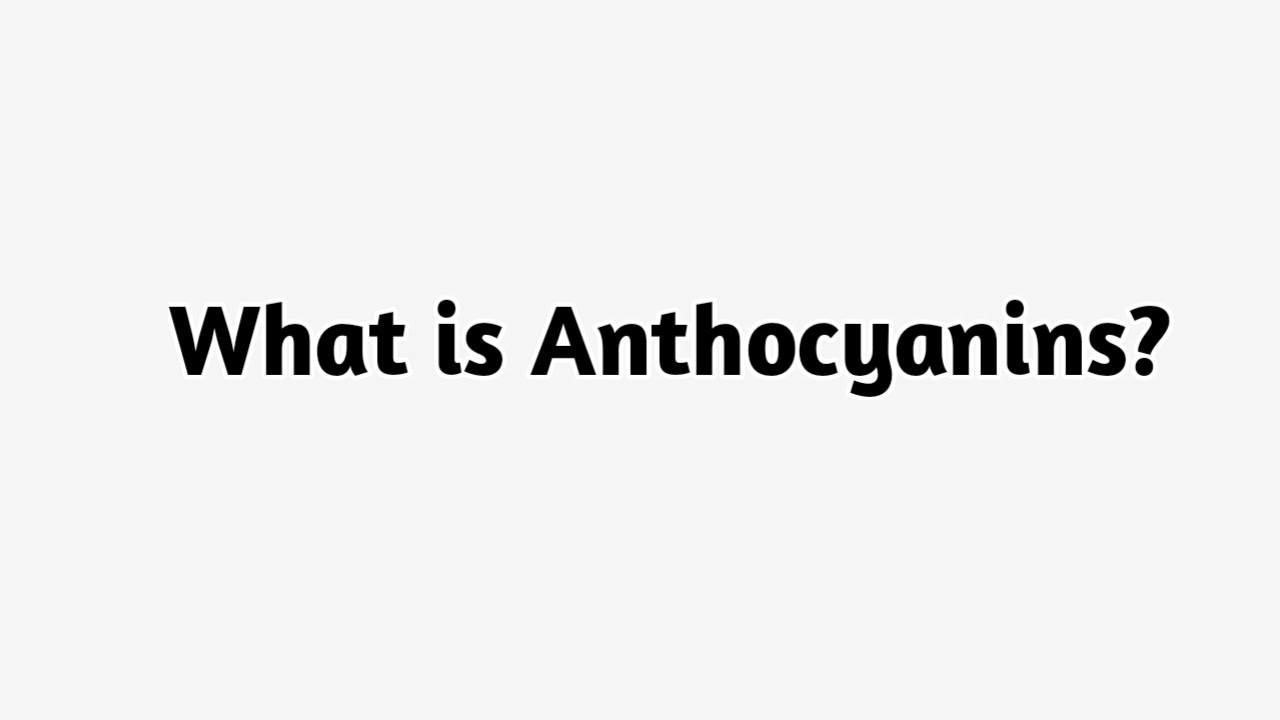 What is Anthocyanins ?