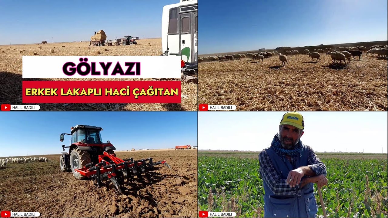 GÖLYAZI - ERKEK LAKAPLI HACİ ÇAĞITAN