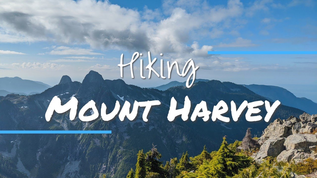 Mount Harvey: Climbing one of the North Shore's TALLEST peaks!