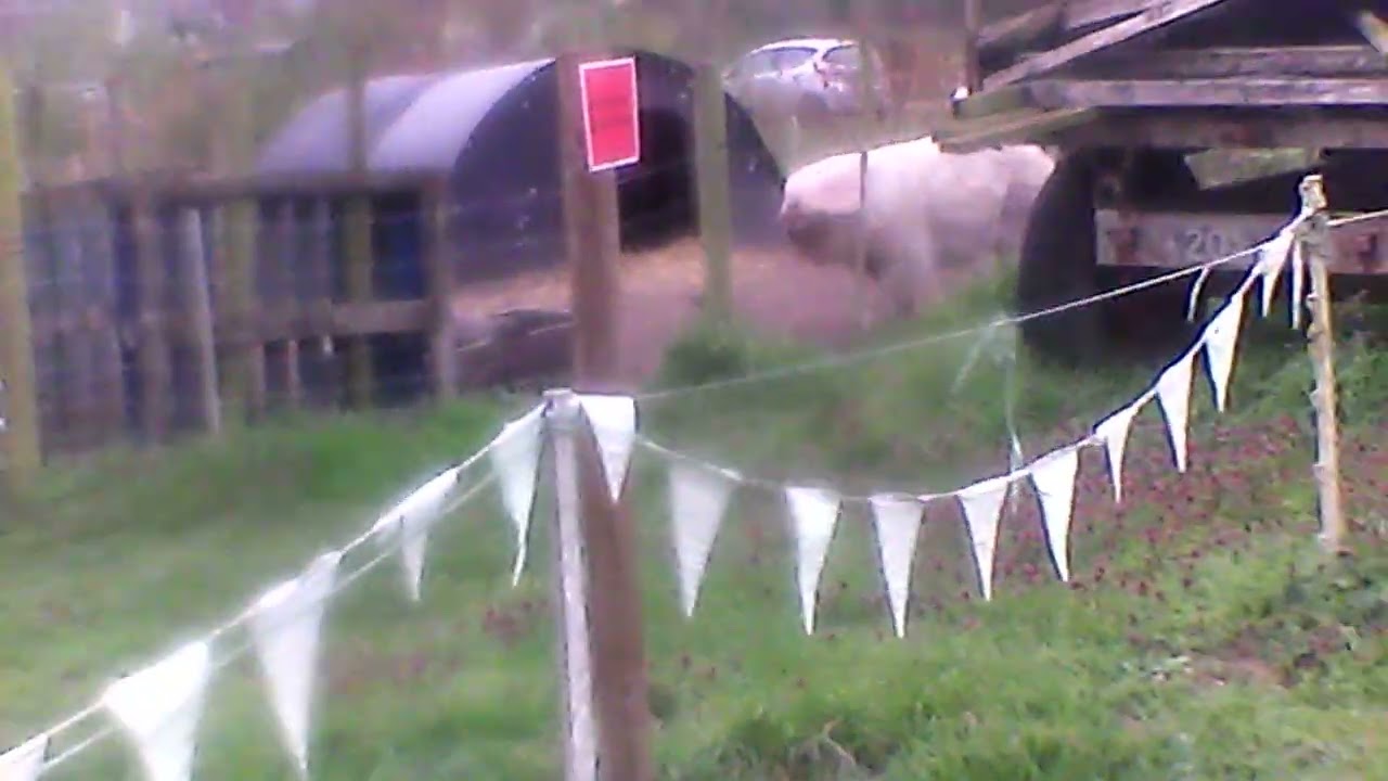 adler farm