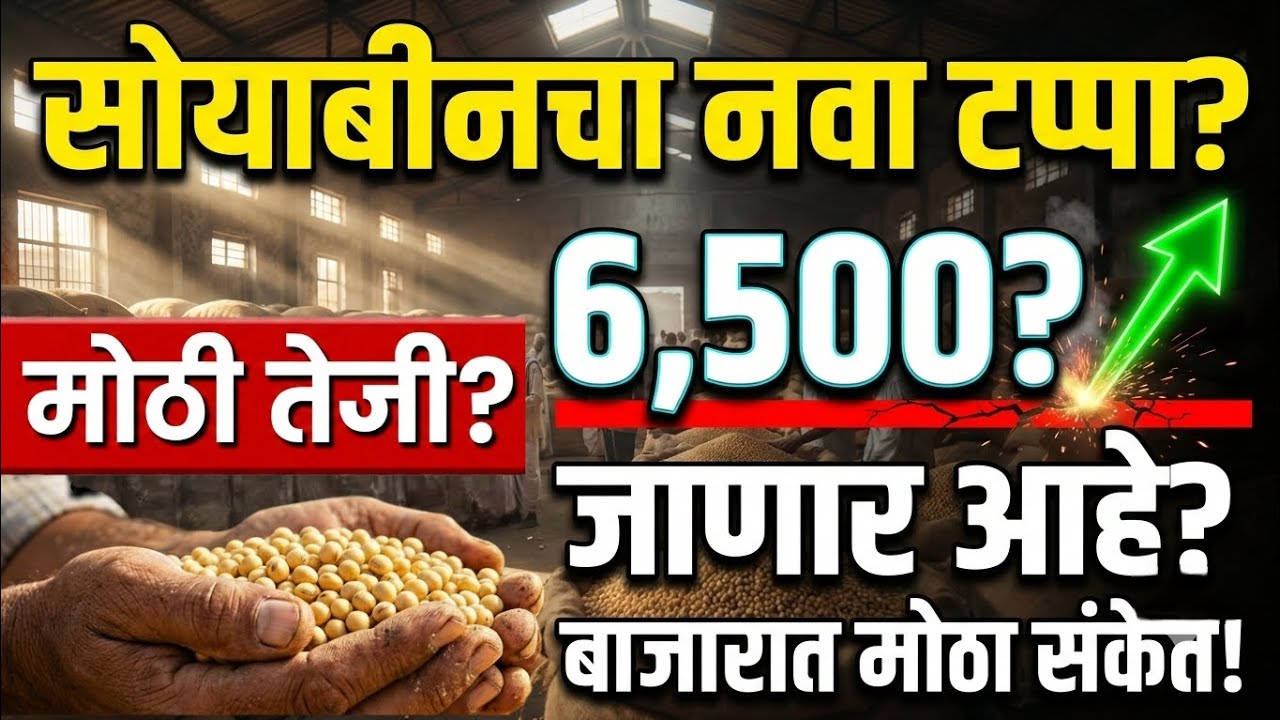 आजचे सोयाबीन बाजारभाव | सोयाबीनमध्ये मोठी तेजी? 🚀 | ₹6500 शक्यता? Soybean bajar bhav today