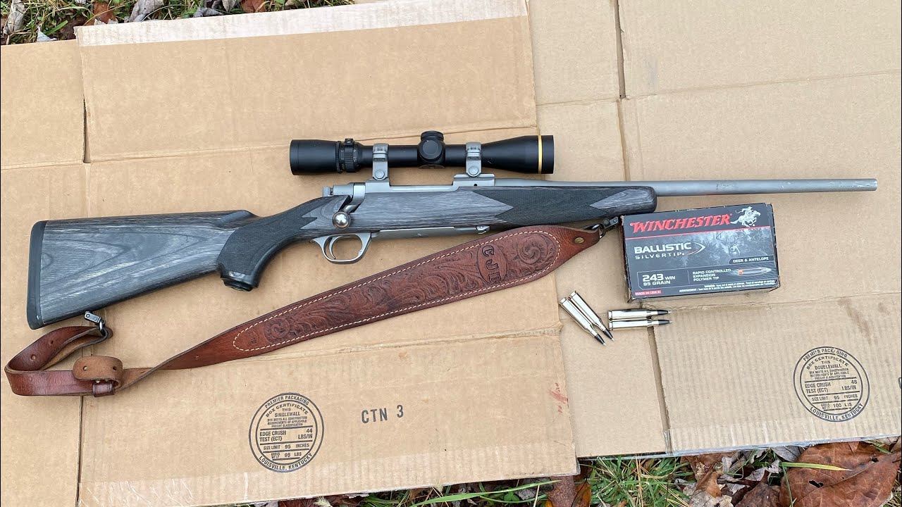 Ruger M77 Hawkeye in 243