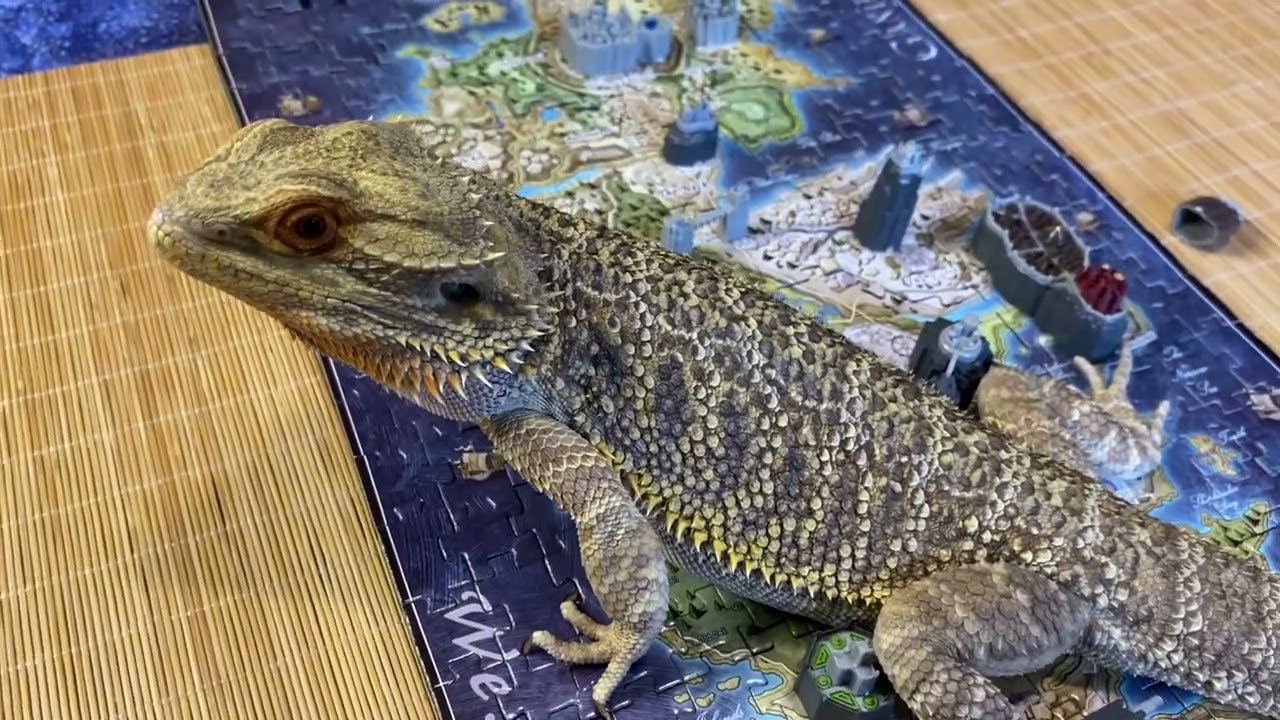 ASMR Judge George Review 5 - Game of Thrones Westeros Map Puzzle