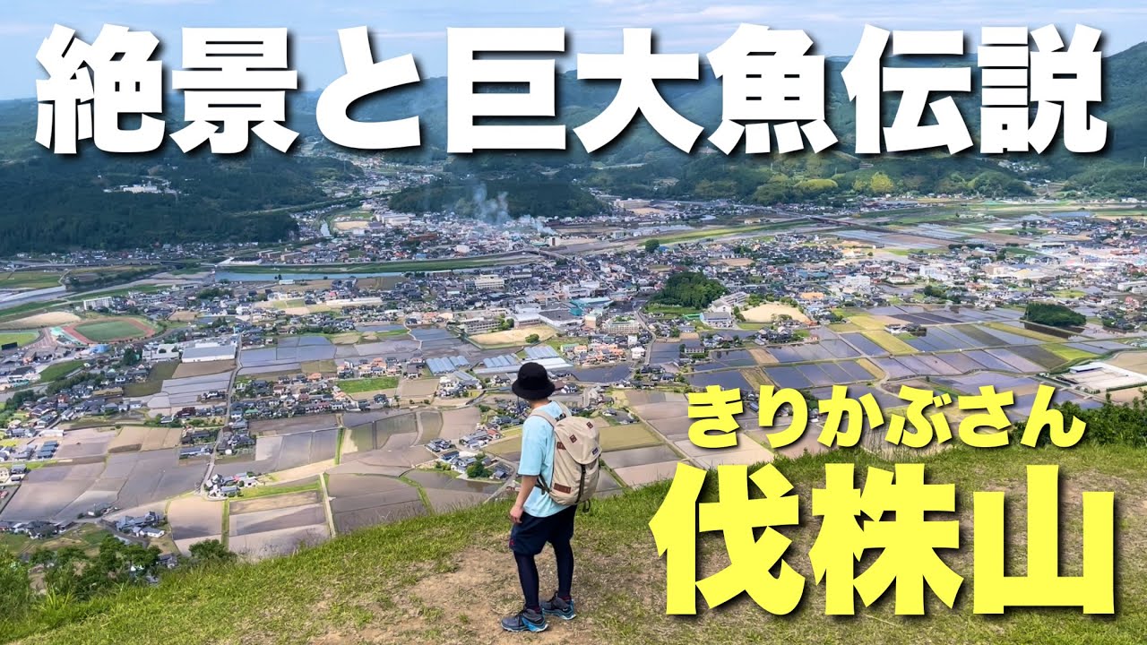 【大分登山】山頂が楽しすぎる！伐株山（切株山）の山頂で誰でもハイジ！【再び生まれた伝説】