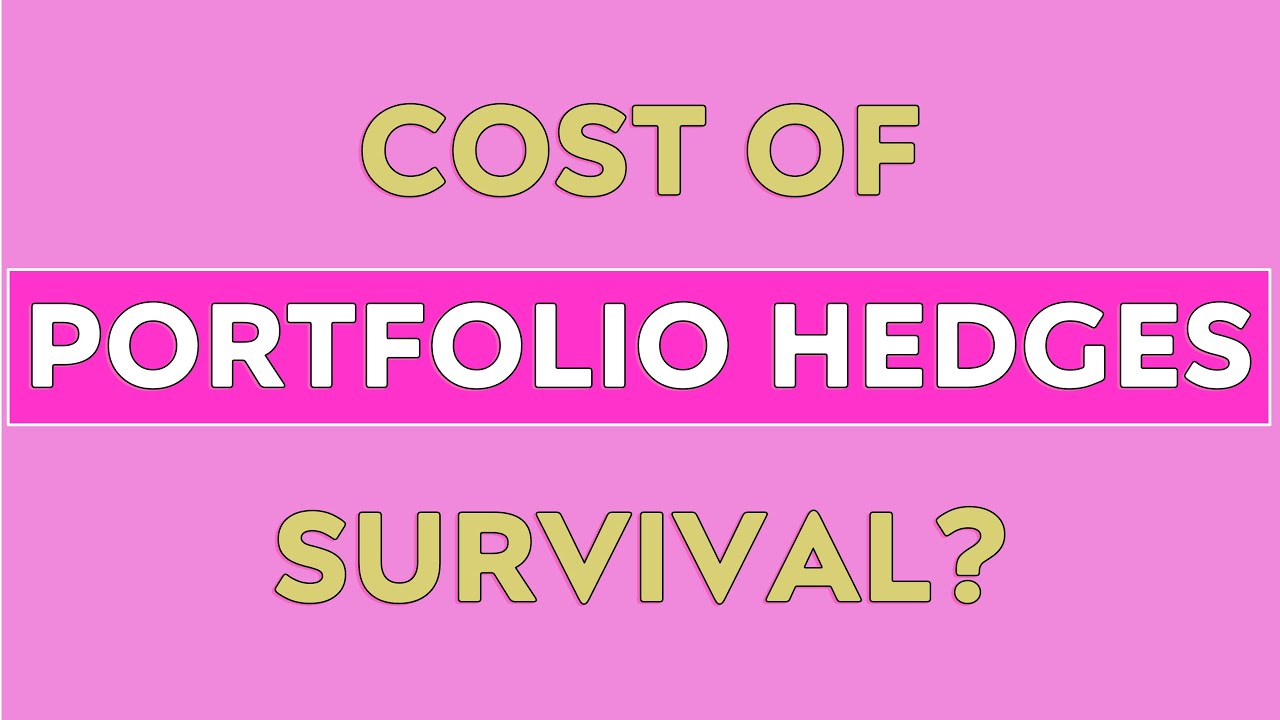 Portfolio Hedges - The Cost of Surviving the Madness