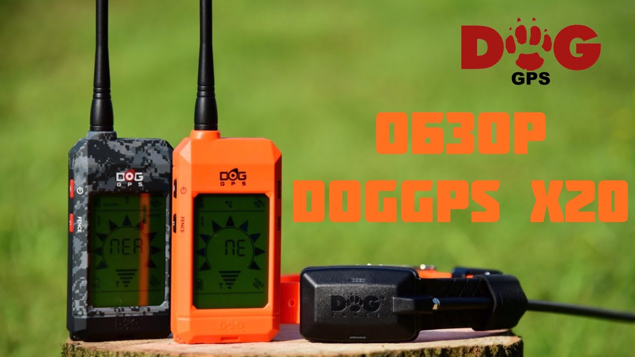 Обзор Dog Gps X20