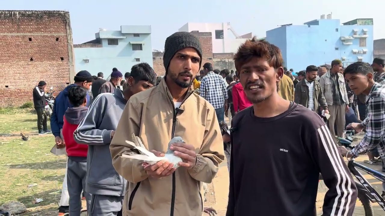 Kiratpur # bazaar ke # Kuch # anokhe # kabutar # 🕊️🕊️ yeh Dekhiya # bahut behtreen # 