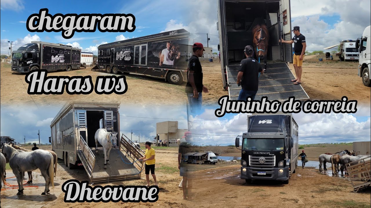 A CHEGADA DO HARAS WS DHEOVANE E JUNINHO DE CORREIA CHEGANDO NO PARQUE BOI NELORE 2025