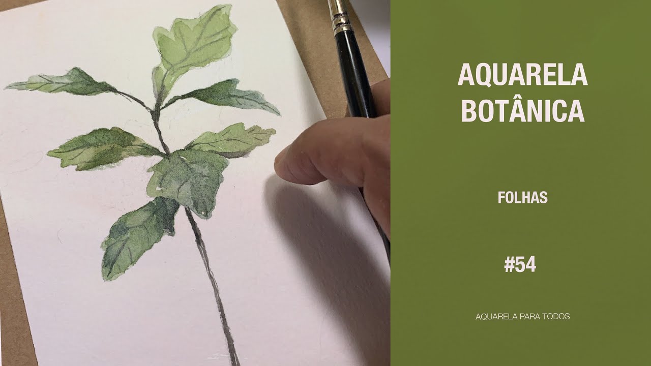 Aquarela Botânica - Folhas