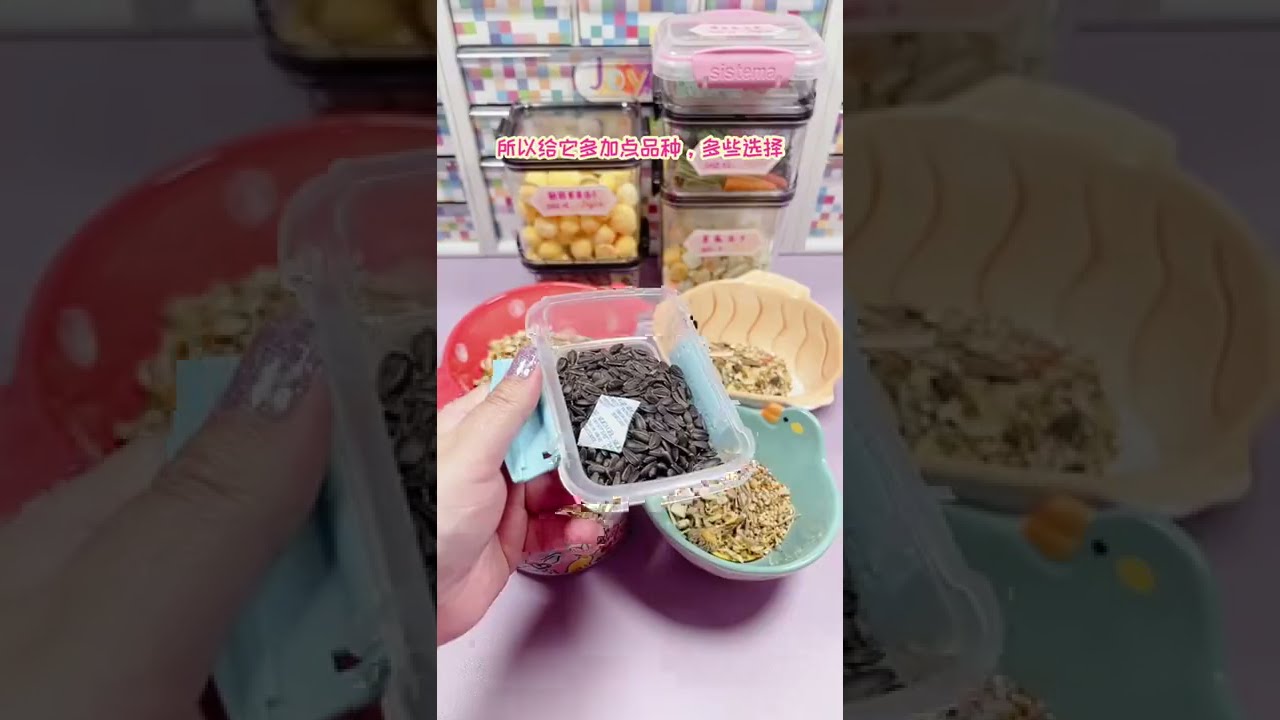 【仓鼠配粮】【吃播】小弗尼逆袭，不再是挑食怪了吗 #joyce仓鼠 #养鼠日常分享  #joyce养猫日常