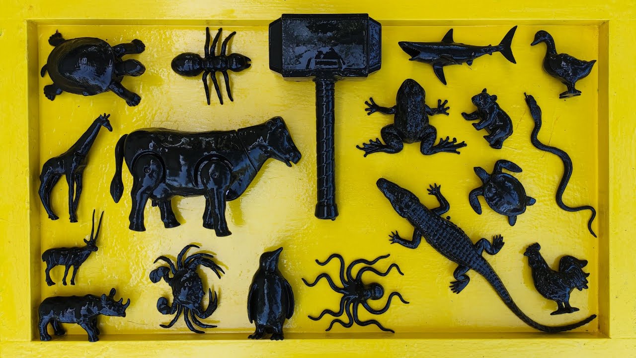 Aha!!Membersihkan hewan sapi, bebek, angsa, ayam, gajah, simpanse, singa, rusa, buaya, kangguru