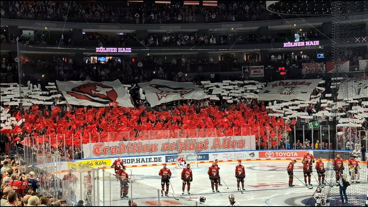 FULL SHOW  Die komplette neue Einlaufshow 25/26 mit Fan  Choreo Kölner Haie KEC 1. Heimspiel ,4k