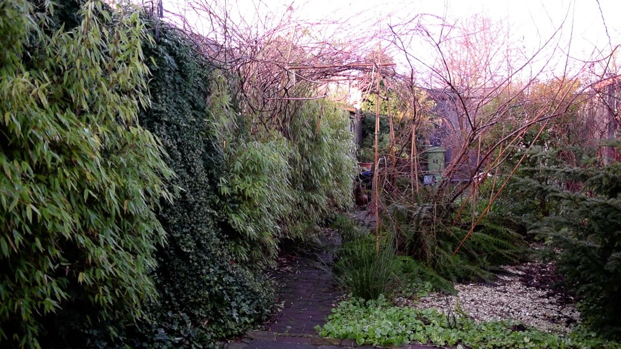 The boring Garden #078