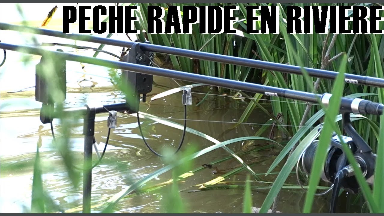 peche rapide en riviere! chaleur et carpe