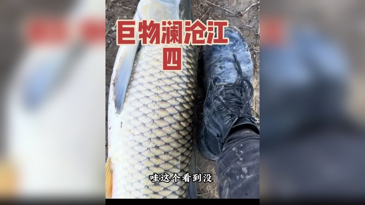 钓鱼佬的手机里不止有鱼还有绝美风景