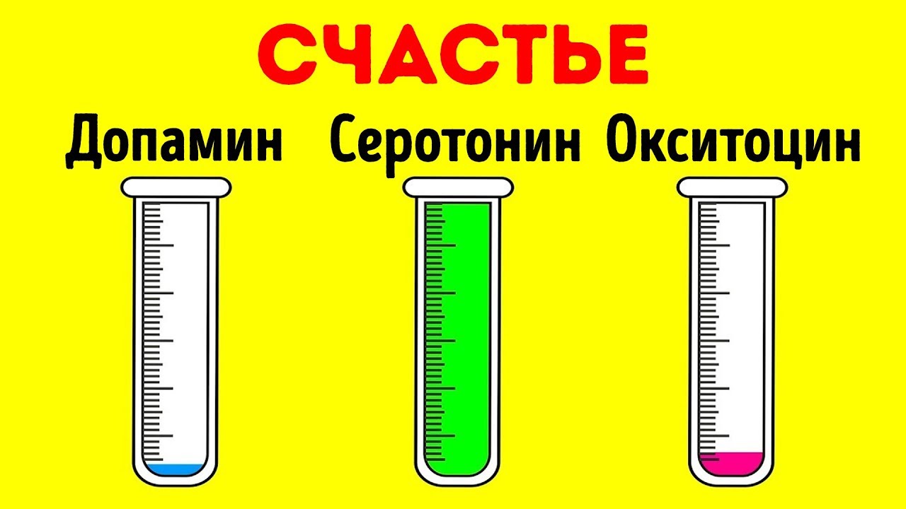 Как Гормоны Влияют на Наше Тело и Разум