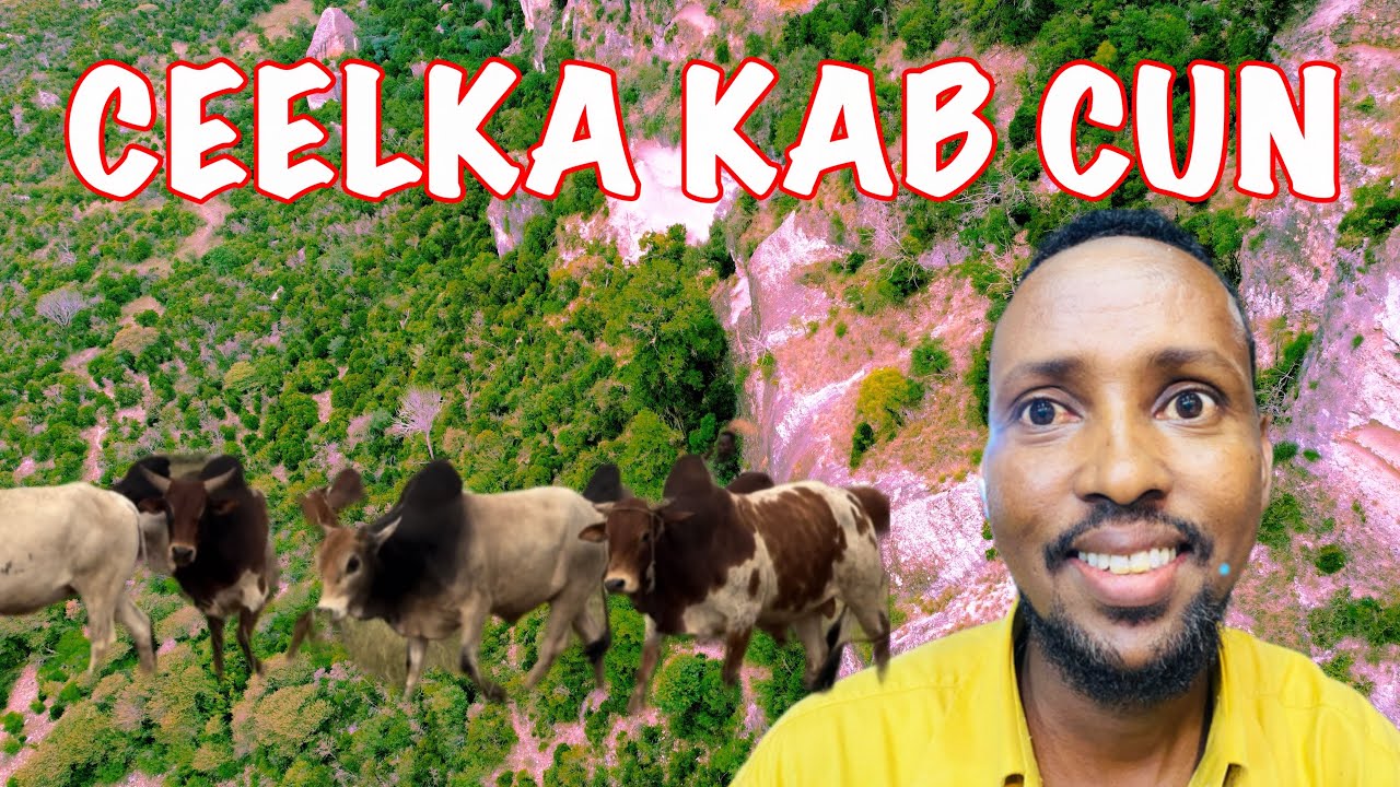 MAALIN DHAN AYAAN LO’O JIR AHAA