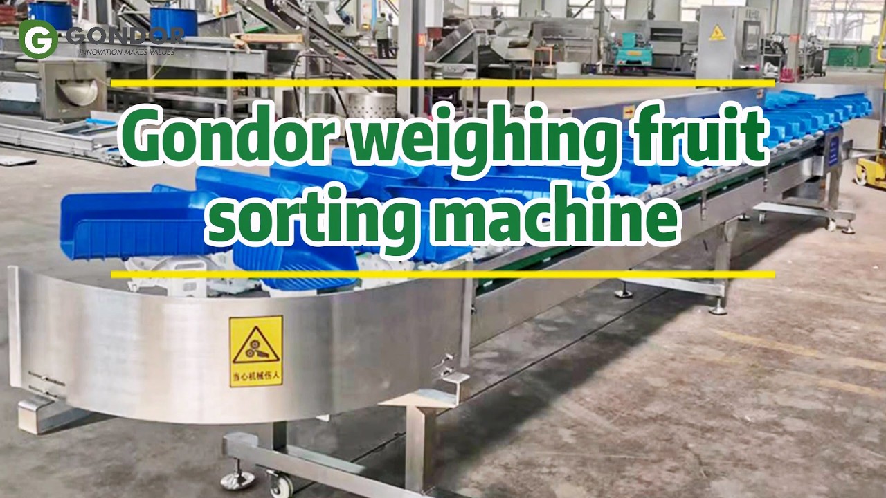 ⚖️🍎High-Speed Automatic Weight Sorting Grading Machine#weightsorter #fruitsorting #gradingmachine