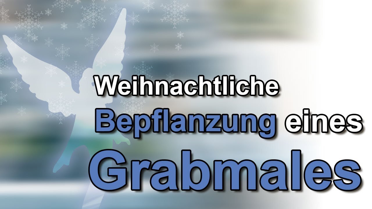 Bepflanzung einer Grabanlage zur Weihnachtszeit