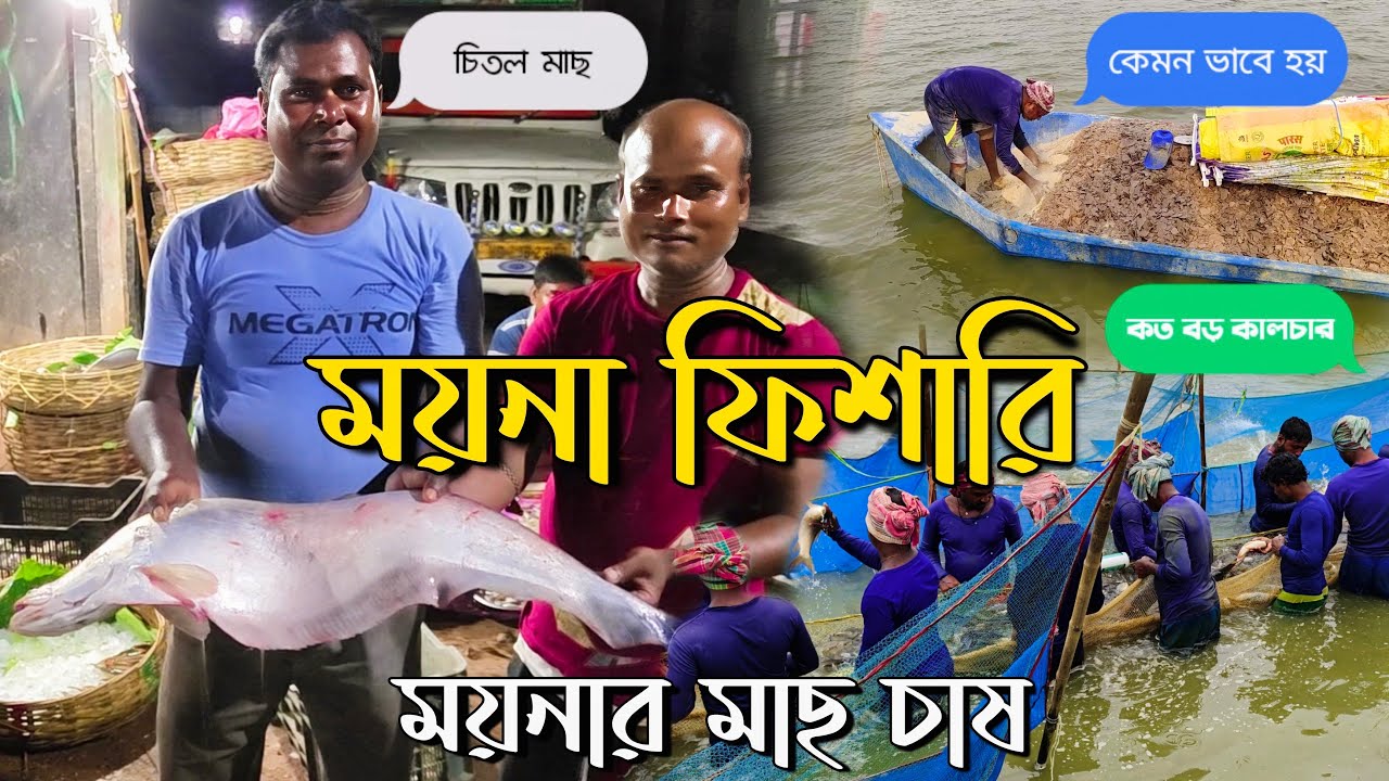 Moyna Fishari । Moyna Fishery Hub 🐟  Moyna Fish Farming 😲  Fish Market  Purba Medinipur , West Ben