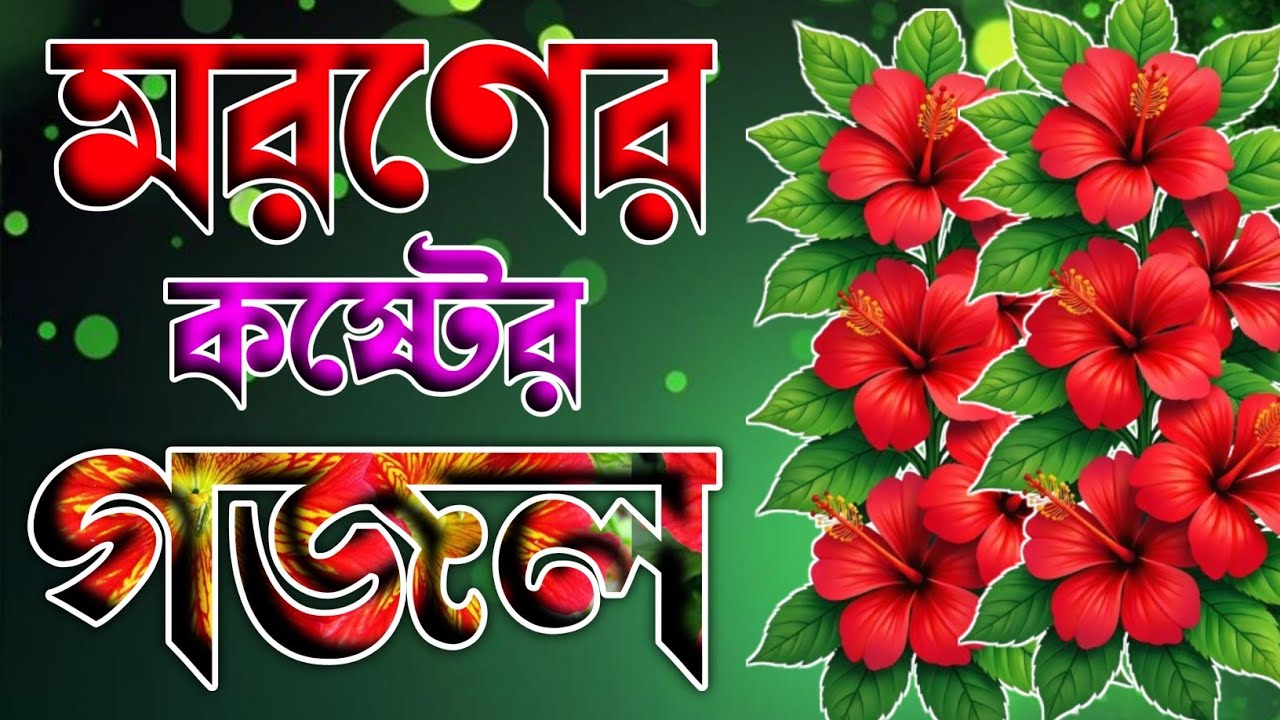 প্রাণ পাখি উড়ে যাইবা কষ্টের সেরা গজল 🔥 কবরের কষ্টের গজল 🔥 gojol 2026 🔥