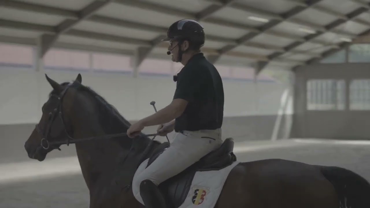 My clinic in Brussels, 13-14/9-2025, at the Equiethics International`s symposium