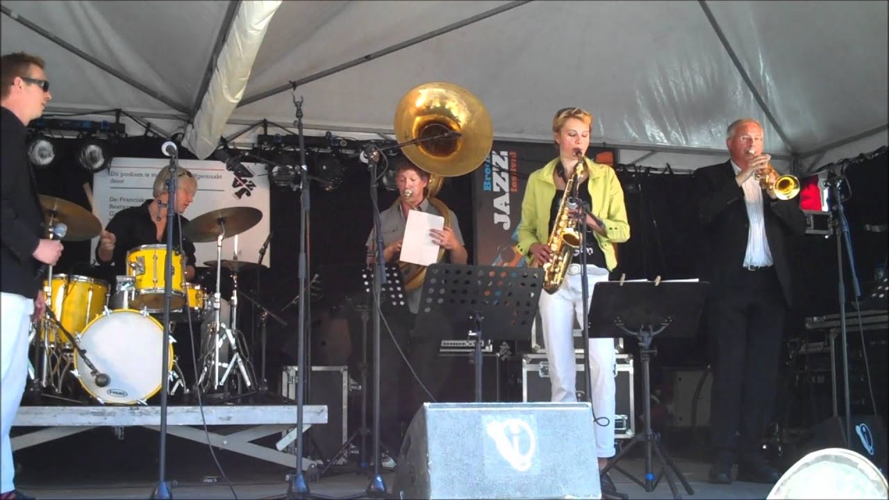 Paarse Heide 2011 opening BJF.wmv
