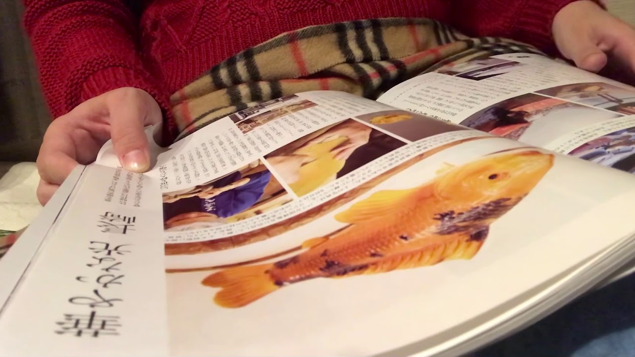 *ASMR *雑誌をめくる音(無言)#5・asmr for reading a book no talking
