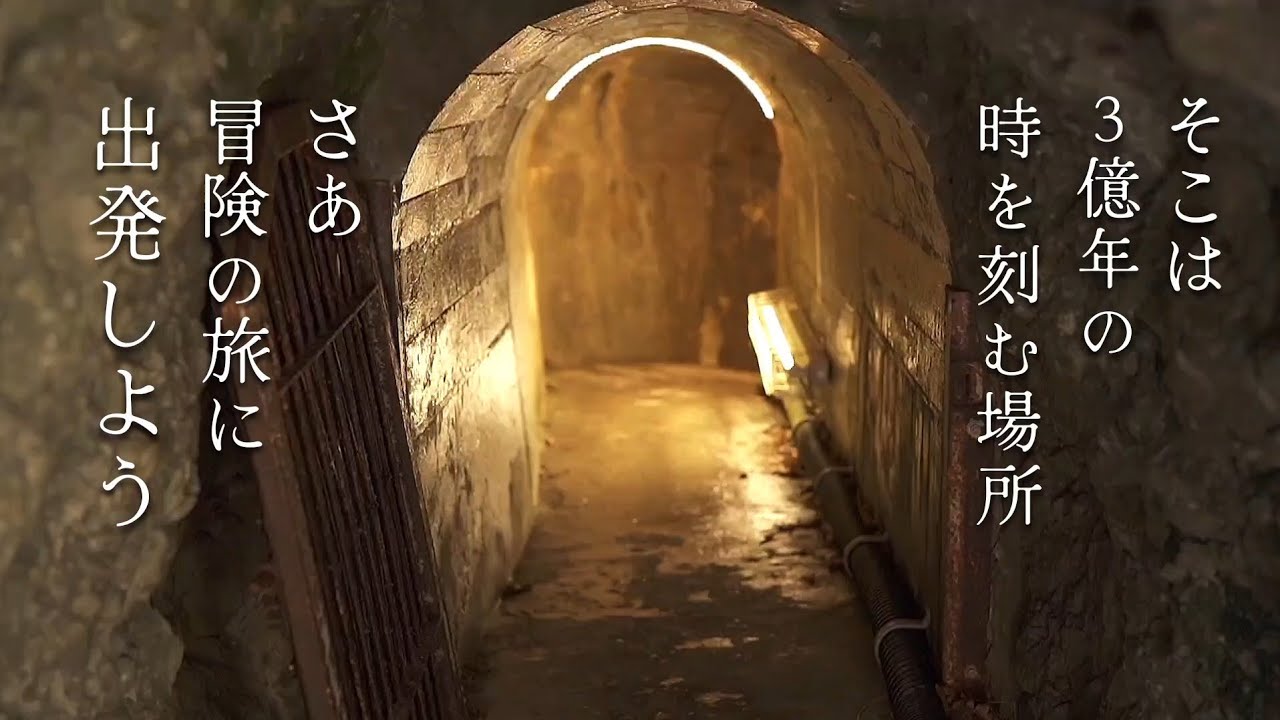 【鐘乳洞】岩手県住田町の洞窟、滝観洞を探検して来ました！#旅行 #滝 #洞窟探検 #caving 