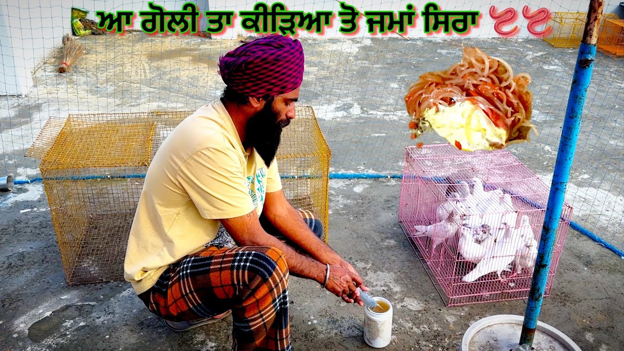 ਆ ਗੋਲੀ ਤਾ ਕੀੜਿਆ ਤੋ ਜਮਾਂ ਸਿਰਾ 🪱🪱