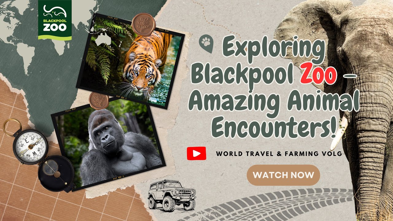 Blackpool Zoo| Uk മൃഗശാല| Uk കുറഞ്ഞചിലവിൽ ഒരു മൃഗശാലാ സന്ദർശനം