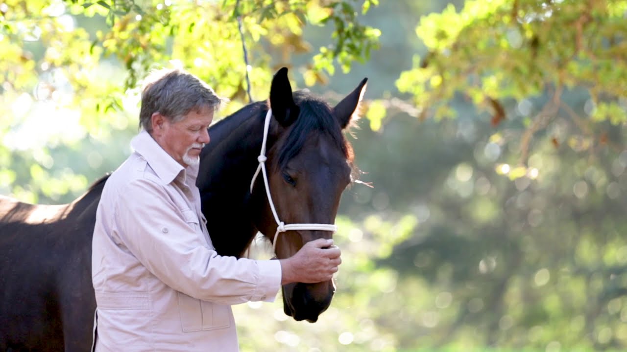 Horse Riding Holidays Mozambique   Retzlaff Safari | Zaras Planet