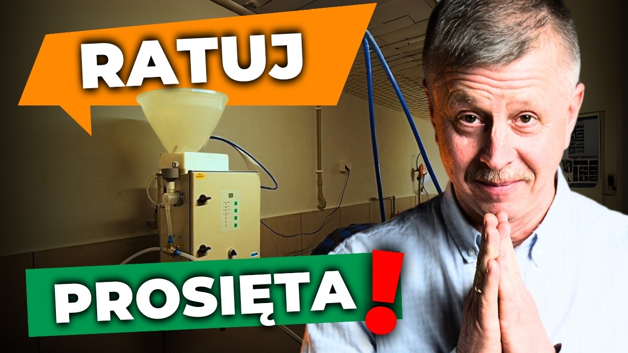 Nr 1 w hodowli - Sztuczna Mamka dla Prosiąt – Jak Działa i Jak Jej Używać? | Hoduj z nami