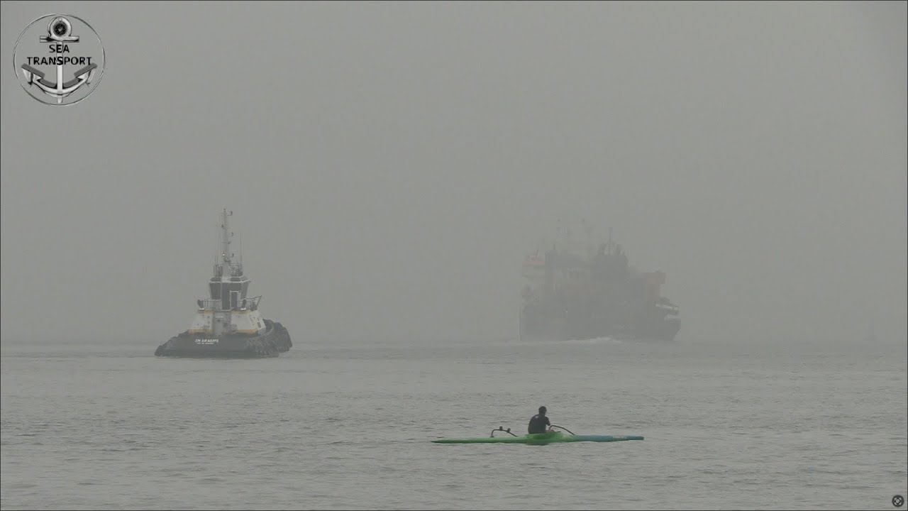 DANGEROUS FOG FOR SHIPS MANEUVERS IN BUSIEST PORT OF BRASIL SHIPSPOTTING VIDEO #261