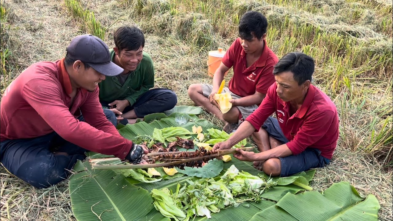 Chuột nướng muối ớt ăn kèm với rau sống lai rai trên đồng cùng . Anh Linh . VXĐ 871