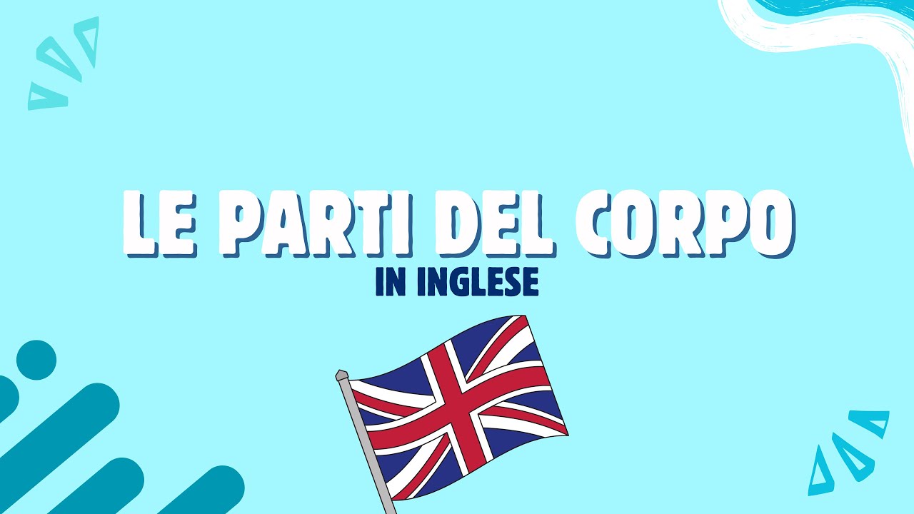 Le parti del corpo in INGLESE!